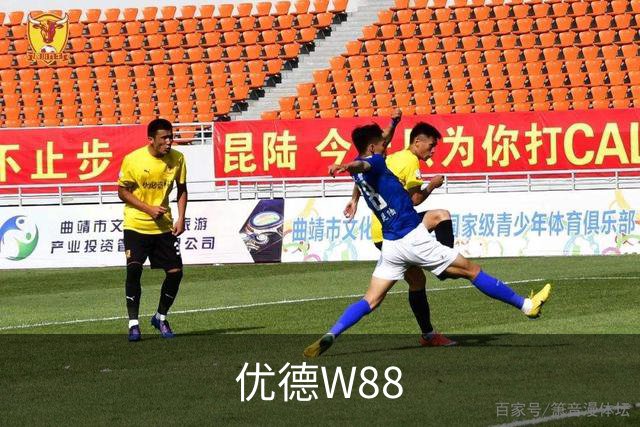 优德W88公司简介展示图